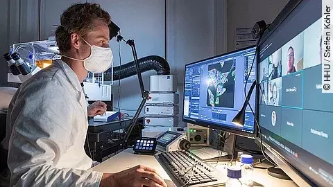 Remoteverbindung zum Mikroskop