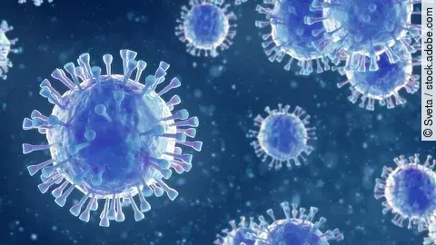 Virus Virus