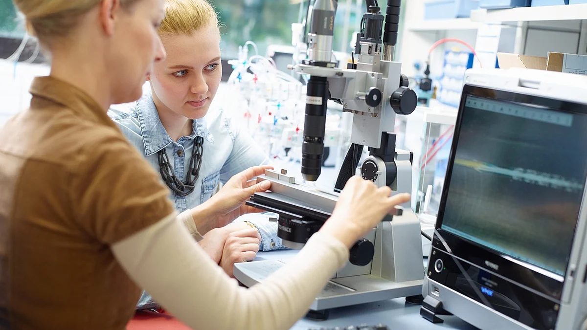 Medtech-Kontrolle, BVMed