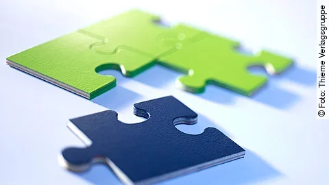 Puzzle, Fusion, Zusammenschluss