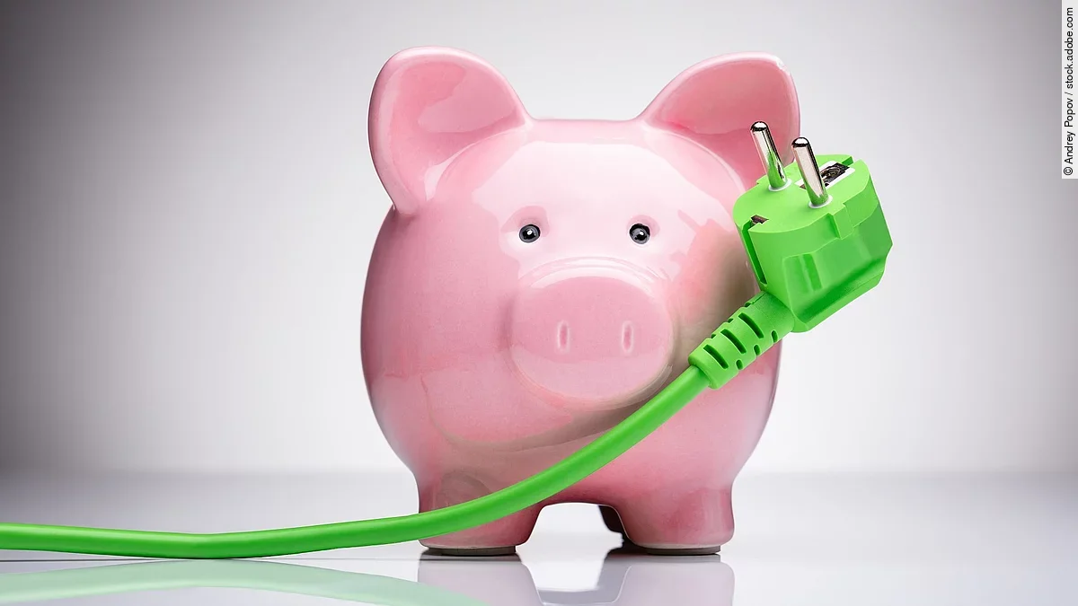 Ein Sparschwein und ein grünes Stromkabel.