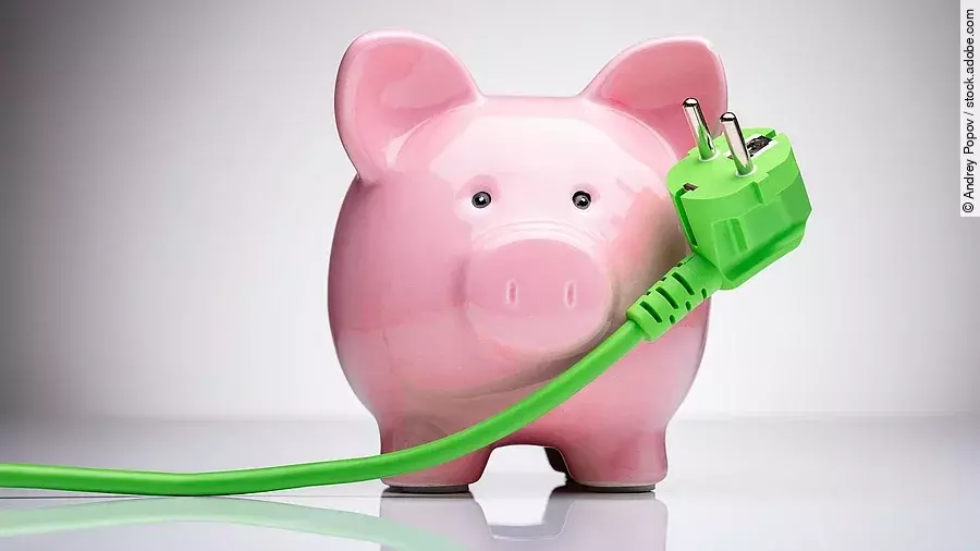 Ein Sparschwein und ein grünes Stromkabel.