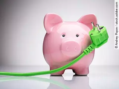 Ein Sparschwein und ein grünes Stromkabel.