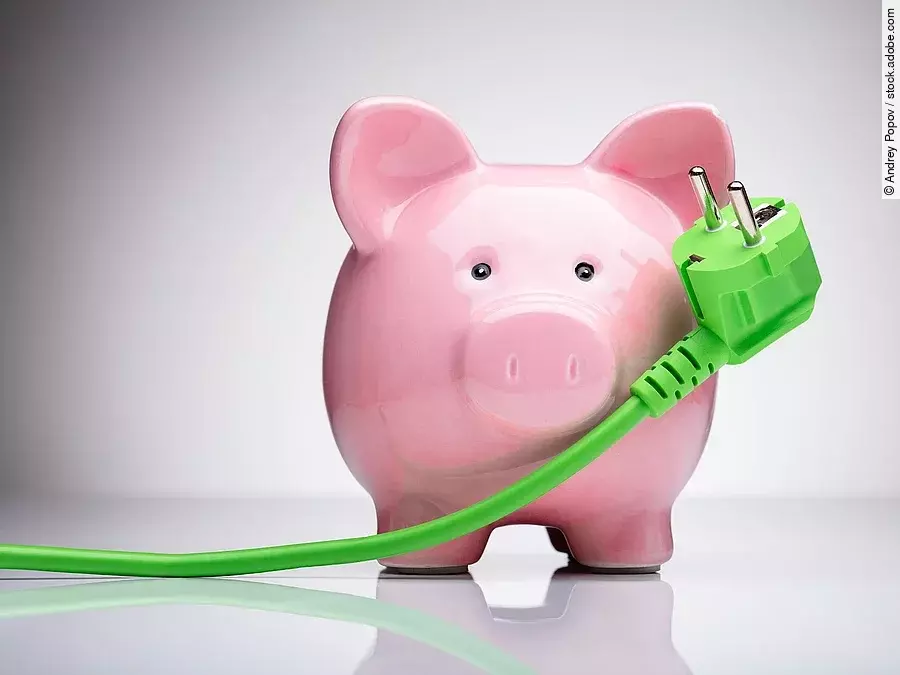 Ein Sparschwein und ein grünes Stromkabel.