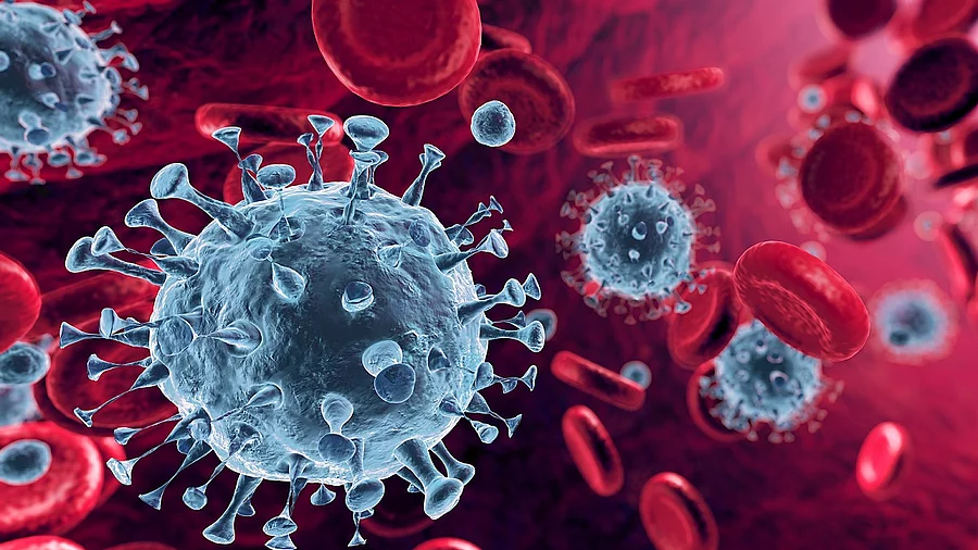 Coronavirus Mehrere Viren und rote Blutkörperchen strömen durch die Blutbahn.