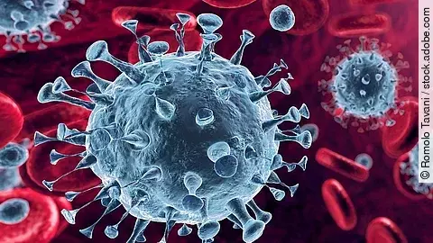 Coronavirus Mehrere Viren und rote Blutkörperchen strömen durch die Blutbahn.