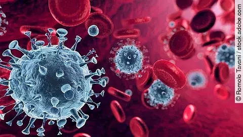 Coronavirus Mehrere Viren und rote Blutkörperchen strömen durch die Blutbahn.