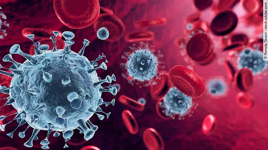 Mehrere Viren und rote Blutkörperchen strömen durch die Blutbahn.