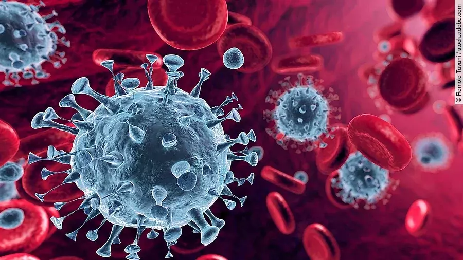 Coronavirus Mehrere Viren und rote Blutkörperchen strömen durch die Blutbahn.
