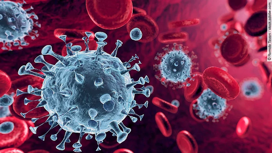 Coronavirus Mehrere Viren und rote Blutkörperchen strömen durch die Blutbahn.