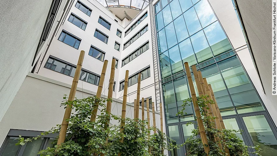 Neubau Varisano-Klinikum Frankfurt Höchst Neubau Varisano-Klinikum Frankfurt Höchst
