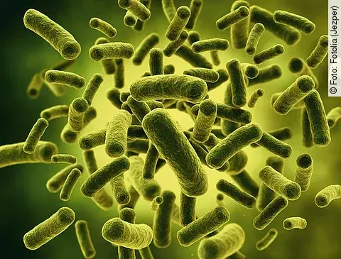 Krankheitskeime, MRSA, Keim