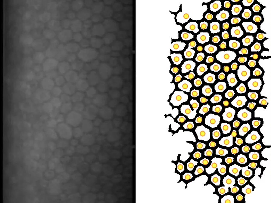 KI Bildauswertung KI Bildauswertung