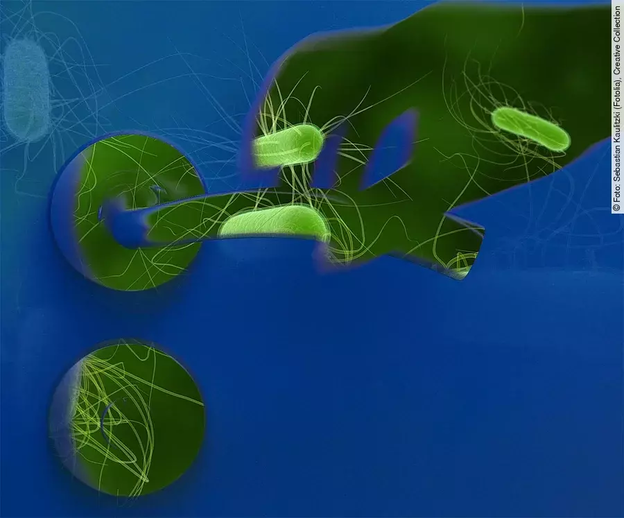 Hygiene, Türklinke, Keime, Tür