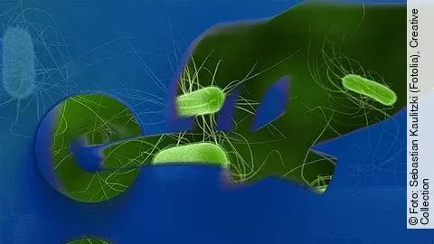 Hygiene, Türklinke, Keime, Tür