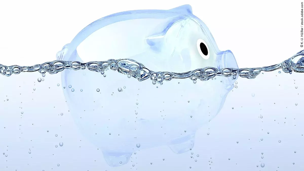 Sparschwein Sparschwein