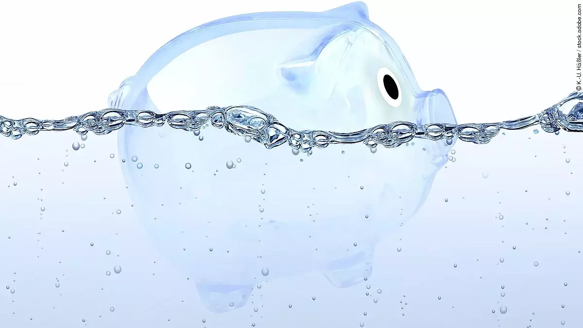 Sparschwein Sparschwein