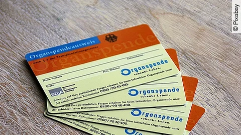 Organspende Organspende