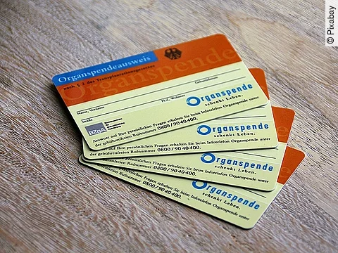 Organspende