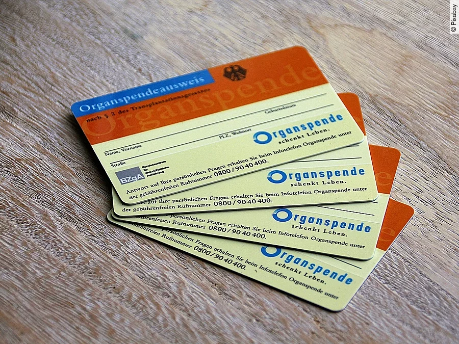 Organspende Organspende
