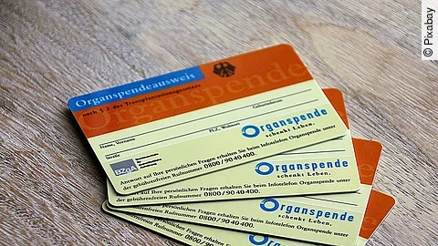 Organspende Organspende