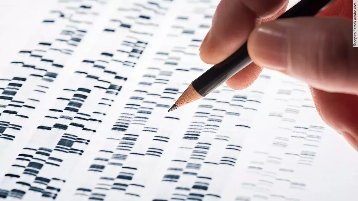 Genanalyse Genanalyse