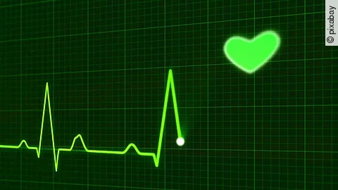 Herzschlag Herzschlag