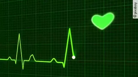 Herzschlag Herzschlag