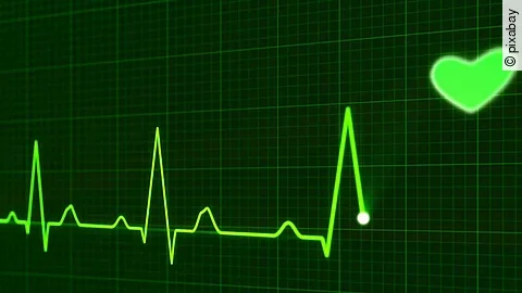 Herzschlag Herzschlag