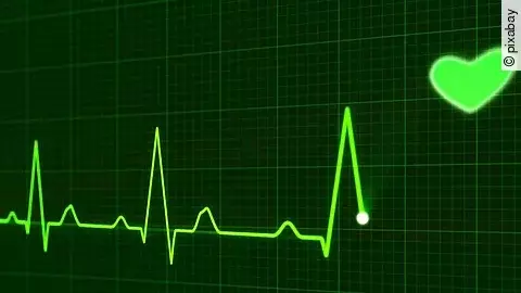 Herzschlag Herzschlag