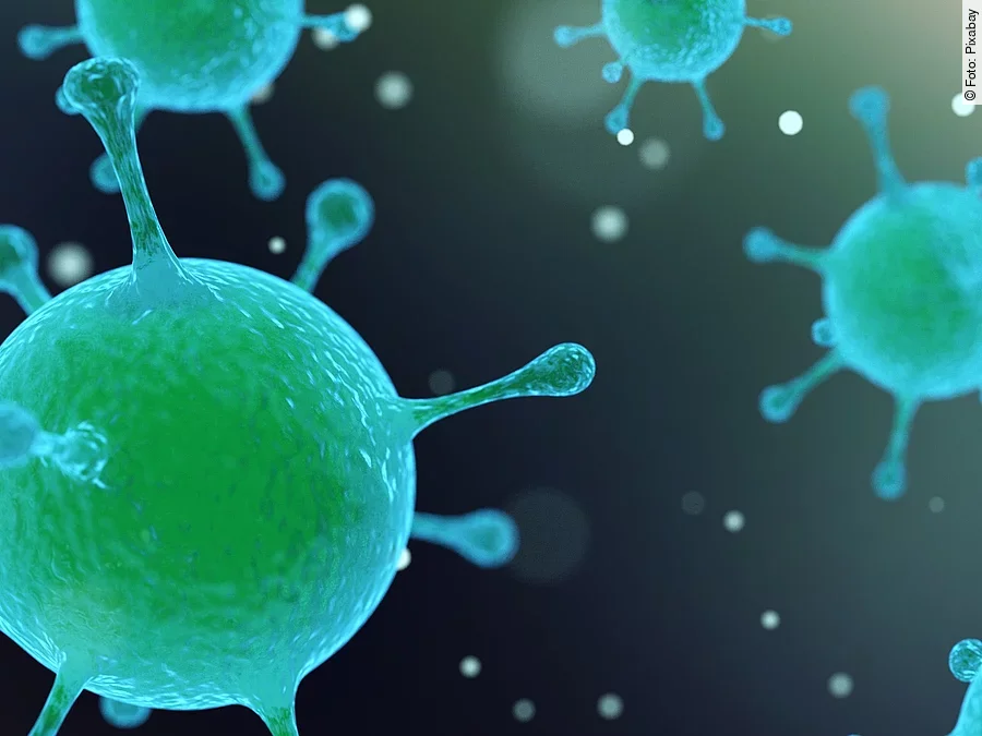 Virus, Bakterien Virus, Bakterien