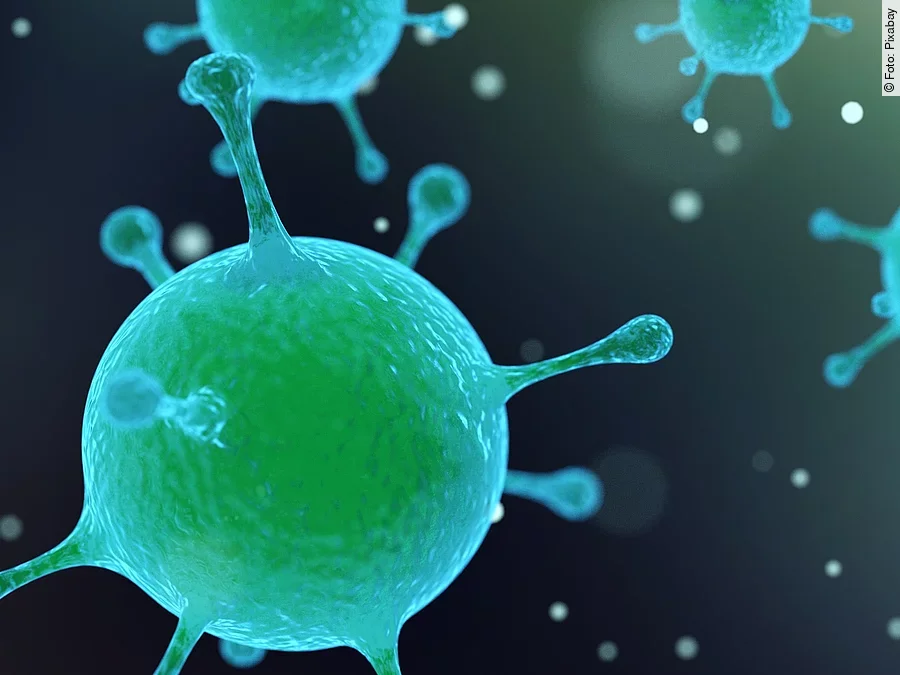 Virus, Bakterien Symbolfoto