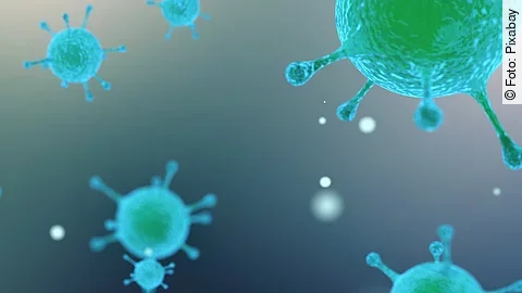 Virus, Bakterien Virus, Bakterien