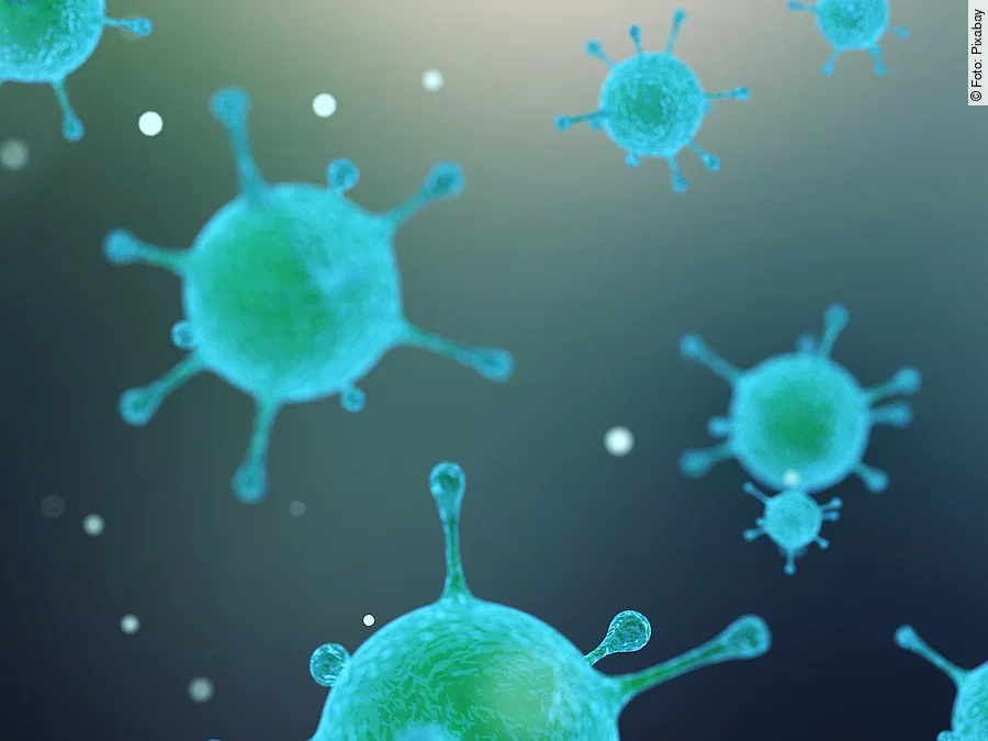 Virus, Bakterien Virus, Bakterien