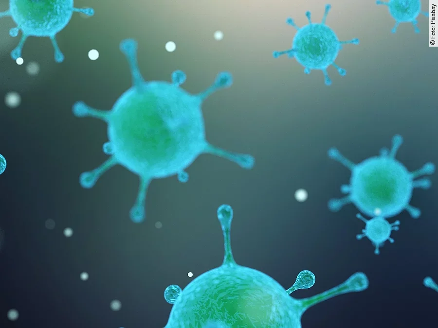 Virus, Bakterien Virus, Bakterien