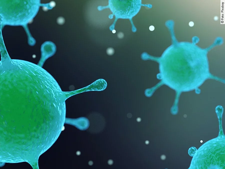 Virus, Bakterien Virus