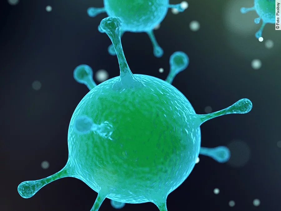 Virus, Bakterien Virus, Bakterien