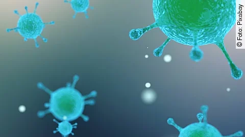 Virus, Bakterien Virus, Bakterien