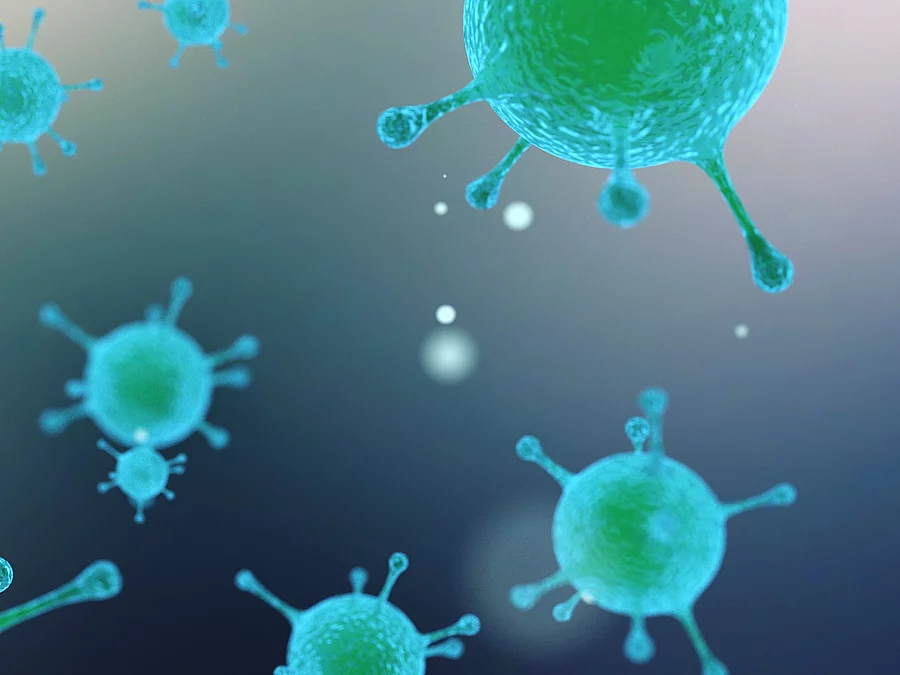 Virus, Bakterien