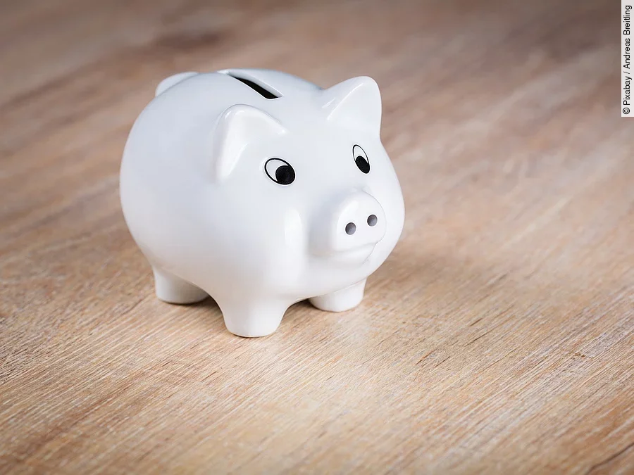 Sparschwein Sparschwein