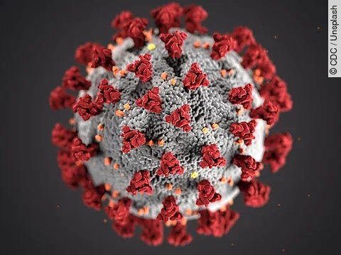 Coronavirus