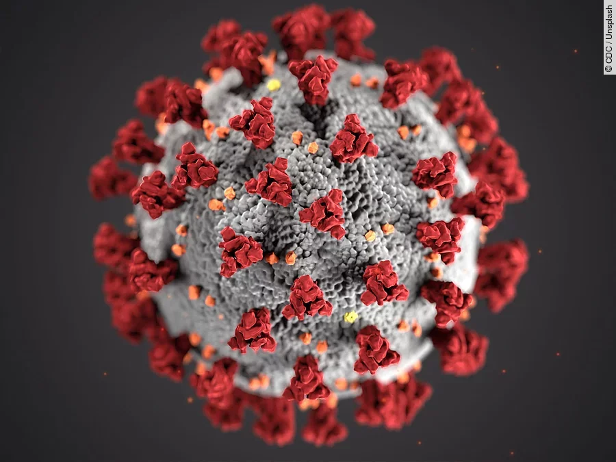 Coronavirus Coronavirus