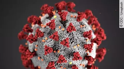 Coronavirus