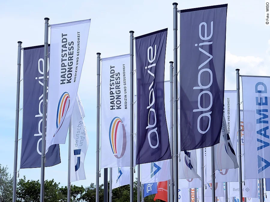 Fahnen vor dem City Cube, HSK 2017