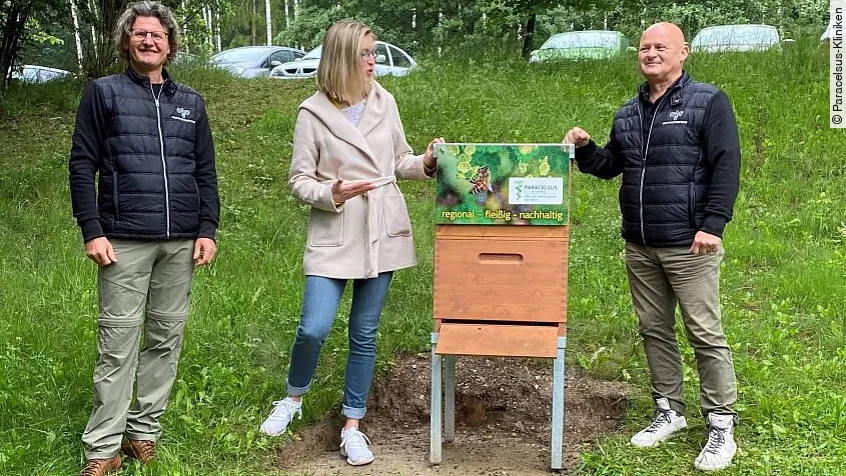 Bienenvolk Bienenvolk