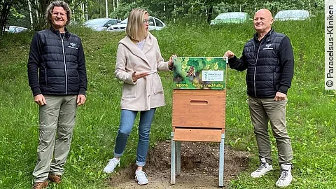 Bienenvolk Bienenvolk