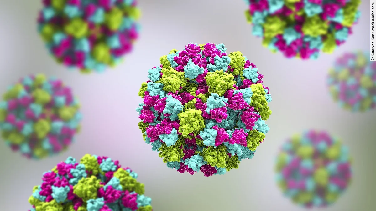 Norovirus Norovirus