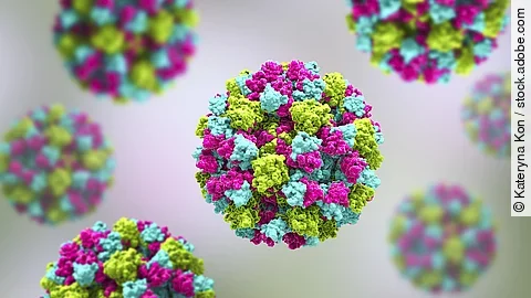 Norovirus