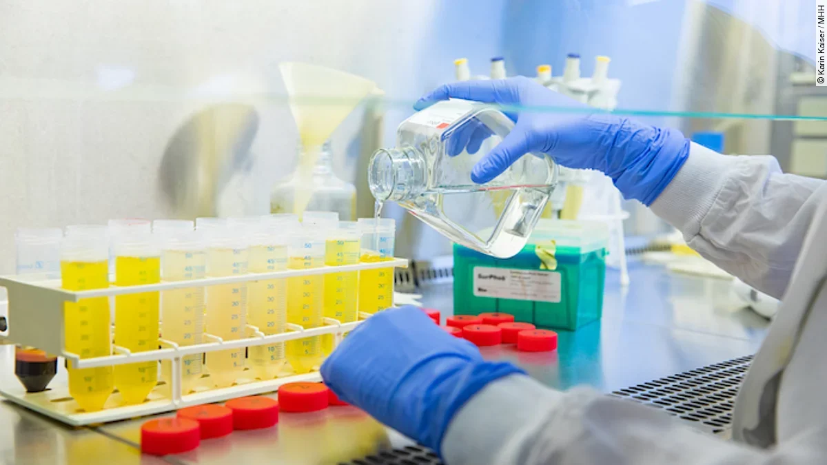 Forschungsgelder Forschungsgelder