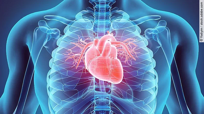 Kardiologie Kardiologie